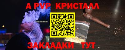 шишки Бийск