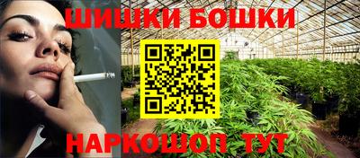 шишки Бийск