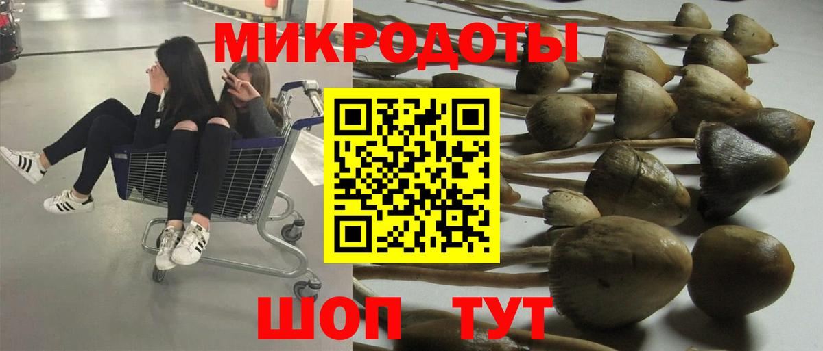 Галлюциногенные грибы MAGIC MUSHROOMS  Псилоцибиновые грибы MAGIC MUSHROOMS  Вязьма  купить закладку  Вход с VPN 